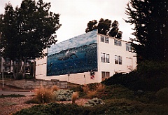 1995 - USA 043 (Monterey)